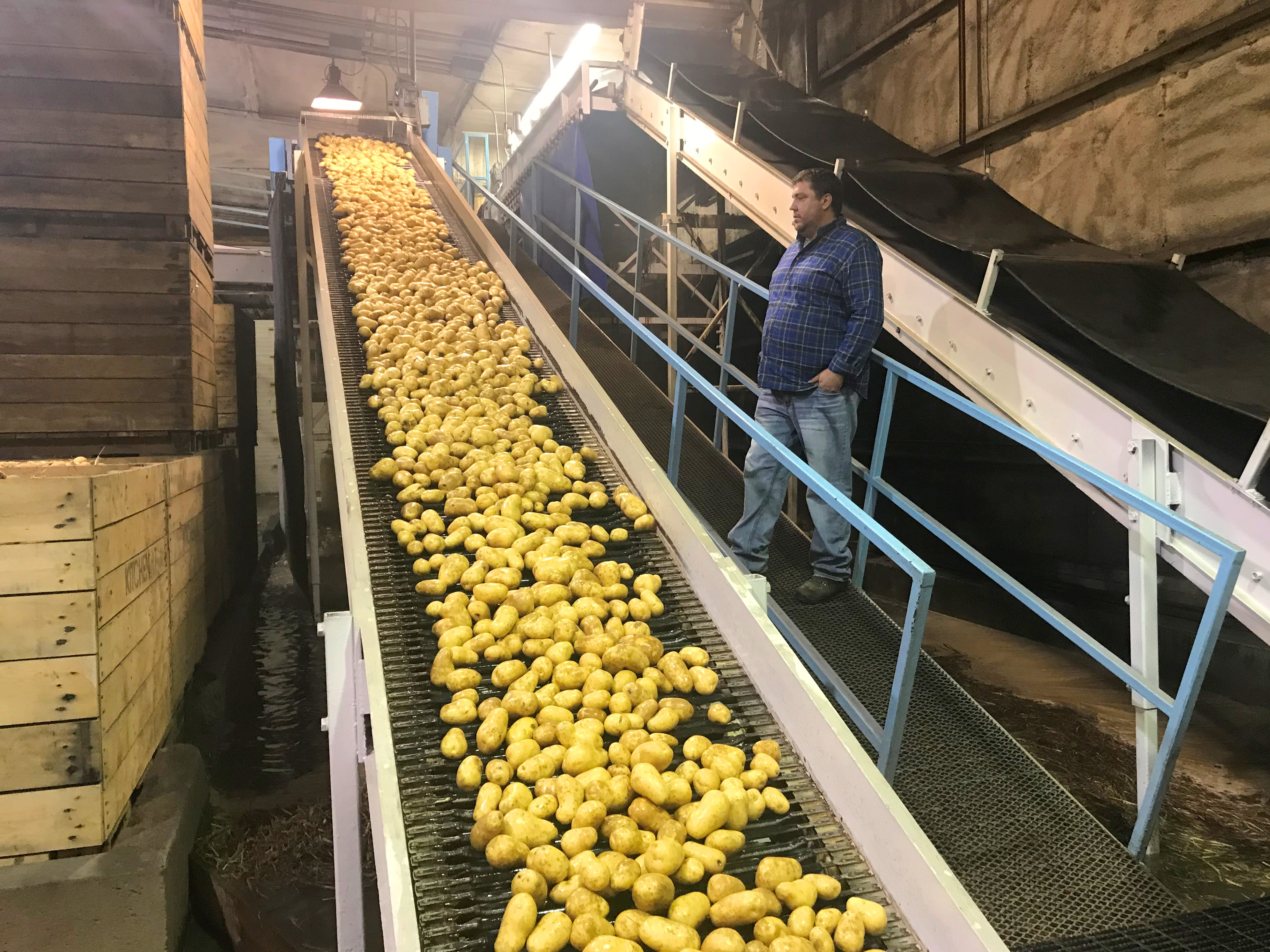 Kitchen Farms Michigan Potatoes
